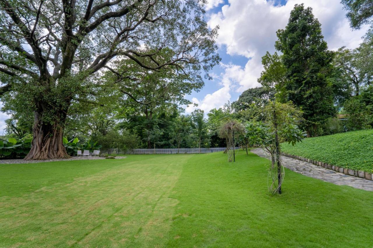 Lohonostays Ivy Cottage 德拉敦 外观 照片